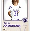 Anderson