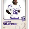 Shafeek